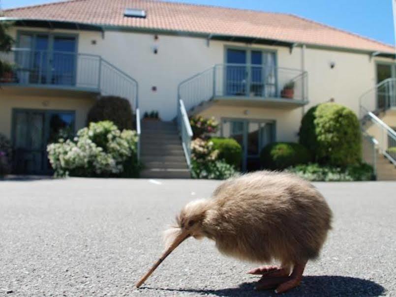 Alcala Motor Lodge Christchurch Eksteriør bilde